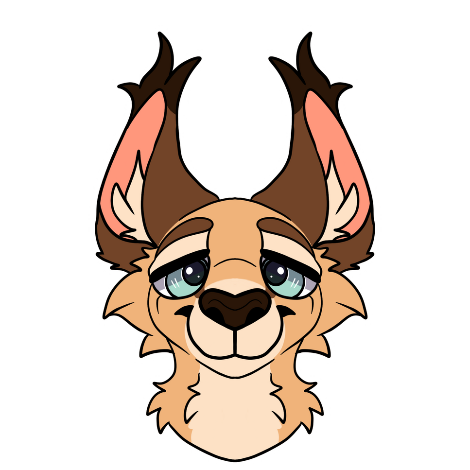 Fuzzyfur headshot